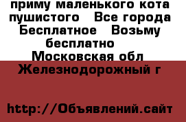 приму маленького кота пушистого - Все города Бесплатное » Возьму бесплатно   . Московская обл.,Железнодорожный г.
